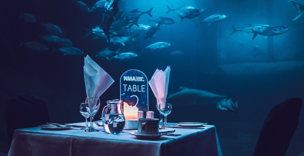 A photograph of a table in front of an aquarium tank